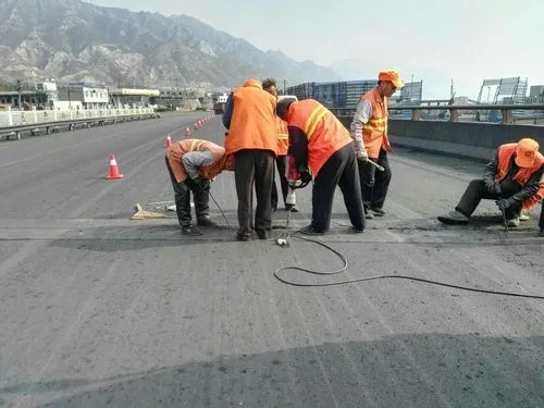 宁江道路桥梁病害治理